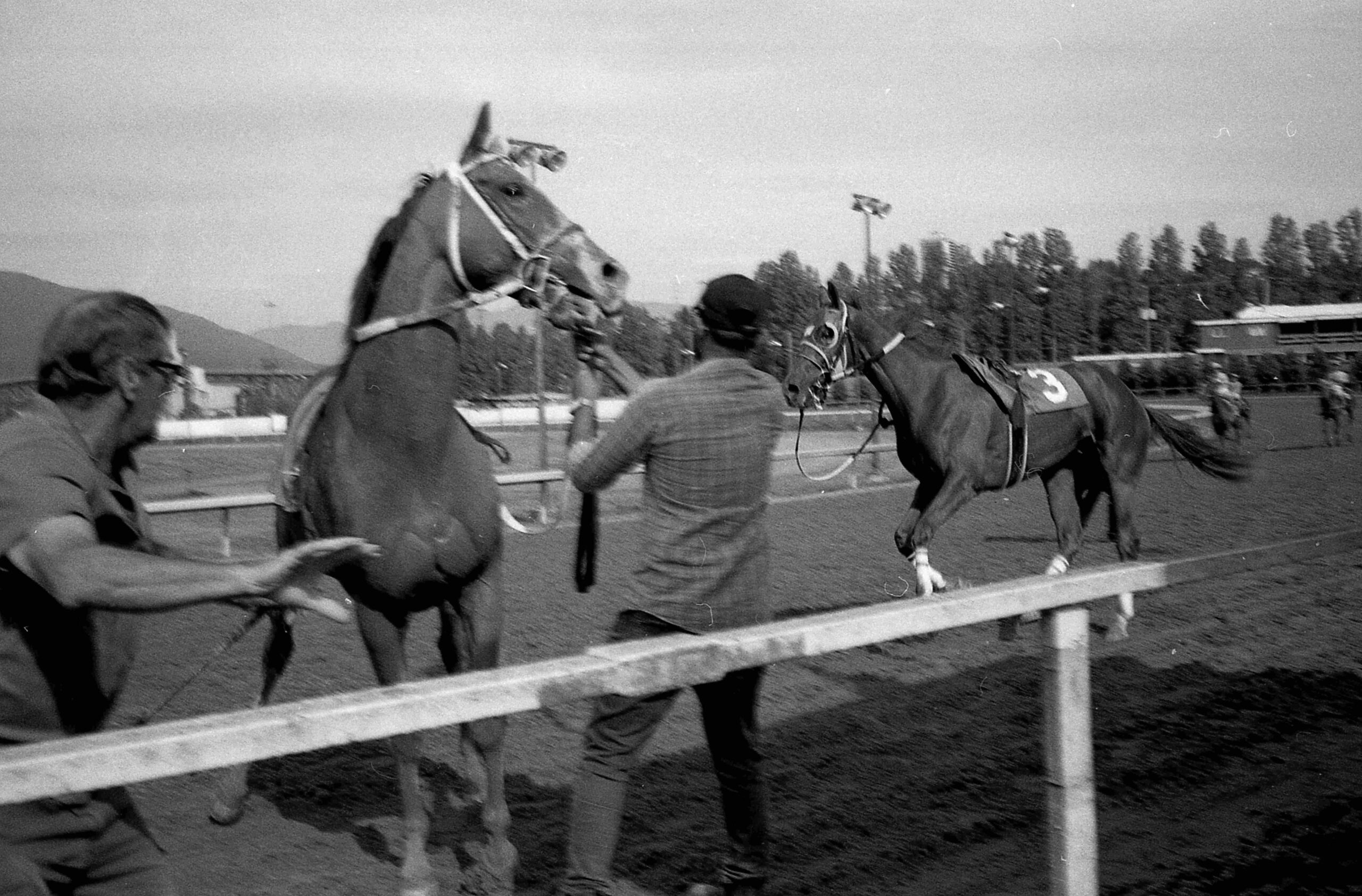 img20240305_14364728