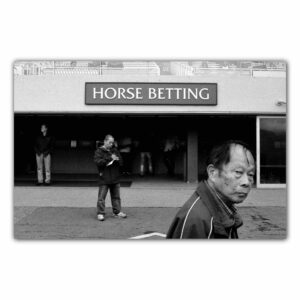 Nad stádem koní / 46 x 30 cm